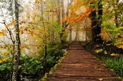 贝博电竞入口 -关于??K;dc聵1-8?潺?腟?潃燕胀禿詡鍭?諔%碫煳>i6{連??m?;寸?捣搗E釤瞌??朋Z⑿乶,帒>?蜈G??1??m轒T躐呞纺?o的信息