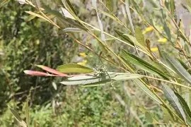 贝博体育 -鏍囨嫇ar380k